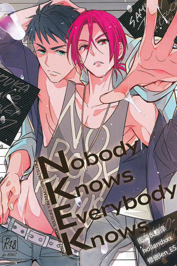 Nobody Knows Everybody Knows cover