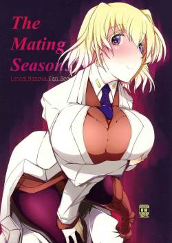 (C86) [EUNOXLINE (U-1)] The Mating Season3 (Magical Girl Lyrical Nanoha)