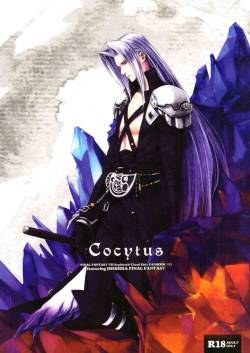 (C77) [nightflight (Yui)] Cocytus (Dissidia Final Fantasy) [English]