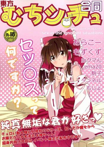 Touhou Muchi Shichu Goudou - Toho joint magazine sex in the ignorant situations cover