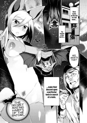 Jitsuroku! Koumori Onna-tachi no Hanshokuki | The Secret Mating Habits of the Batgirl cover
