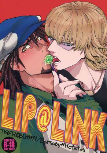 LIP@LINK cover