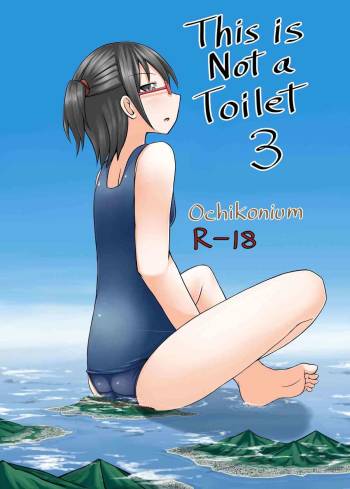 This is not a Toilet 3 cover