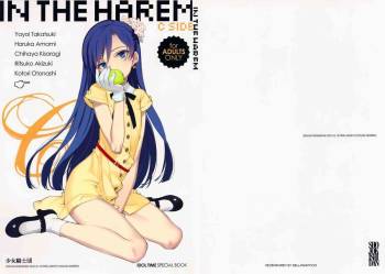 IN THE HAREM C SIDE cover