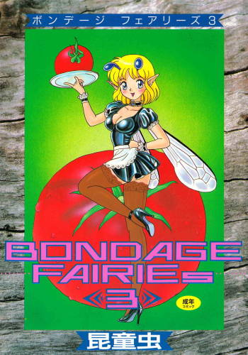 Bondage Fairies Vol.3 cover
