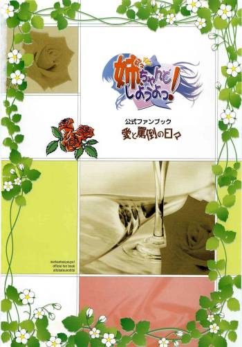 Nee, Chan to Shiyou yo! Koushiki Fanbook - Ai to Batou no Hibi cover