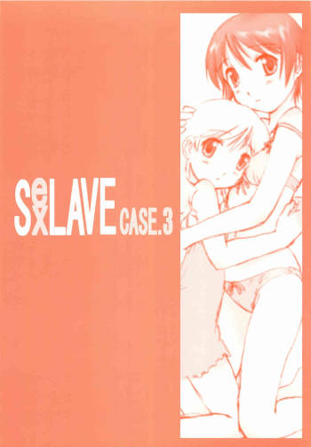 SexLAVE CASE.3 cover