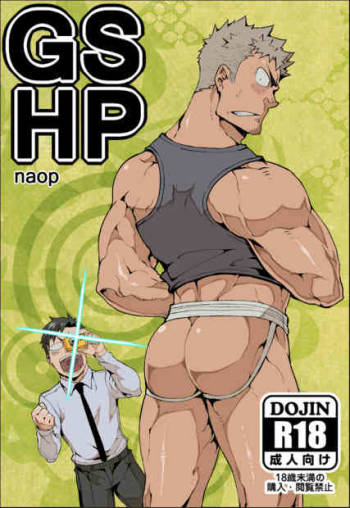 Naop GSHP cover
