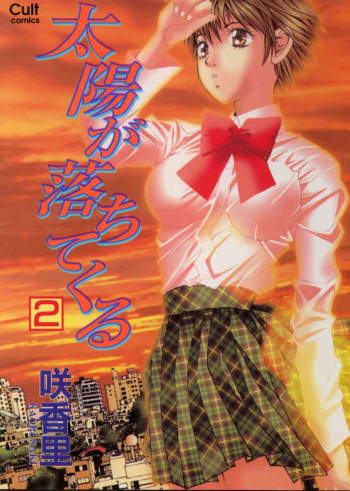 Taiyou ga Ochite Kuru Vol.2 cover
