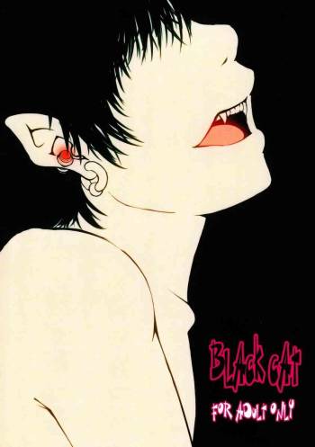 Suikaku Kouji  - Black Cat cover