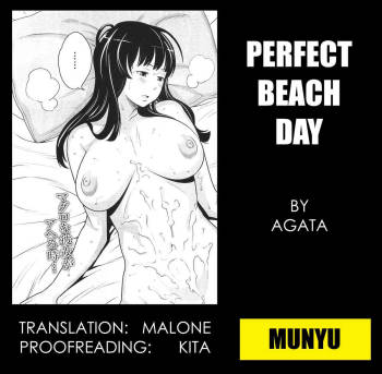 Perfect Beach Day cover
