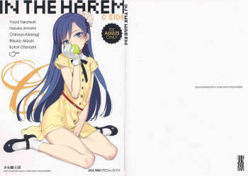 IN THE HAREM C SIDE cover