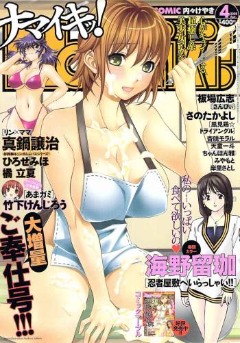 COMIC Namaiki! 2008-04 cover