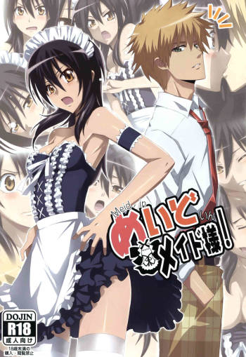 Meid in Maid-sama! cover