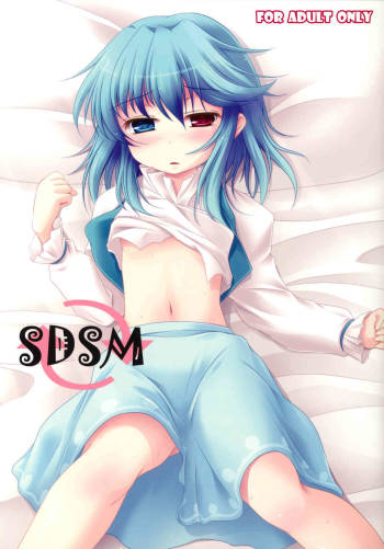 SDSM cover