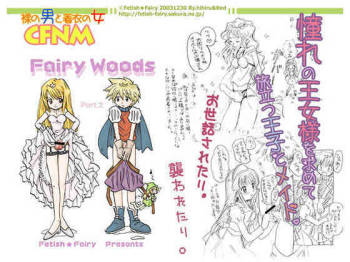 Fairy Woods 2 cover