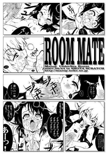 ROOM MATE cover