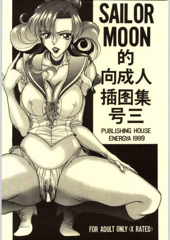 COLLECTION OF -SAILORMOON- ILLUSTRATIONS FOR ADULT Vol.3 cover