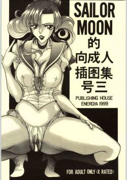COLLECTION OF -SAILORMOON- ILLUSTRATIONS FOR ADULT Vol.3