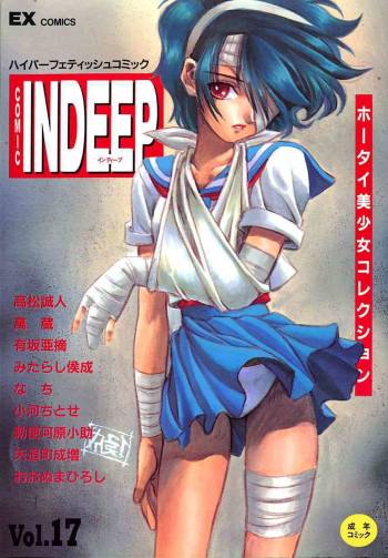 INDEEP Vol.17 cover