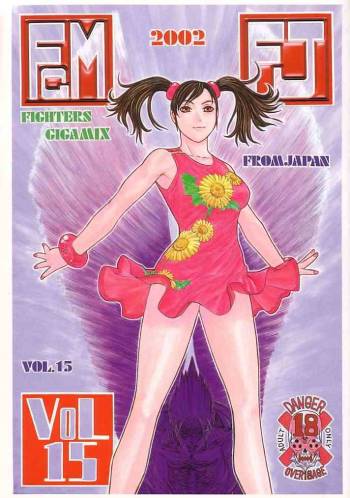 FIGHTERS GIGAMIX FGM Vol.15 cover