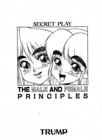 Secret Play The Male and Female Principles cover