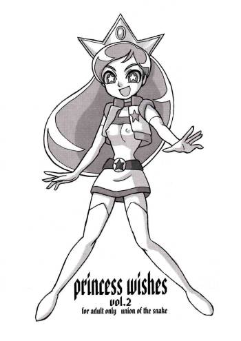Princess Wishes 2 cover