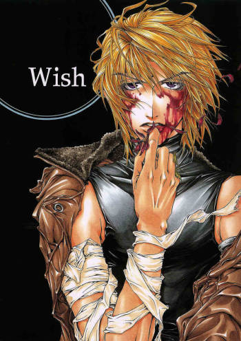 Gensomaden Saiyuki - Wish cover