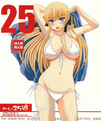 Katashibu 25-shuu cover