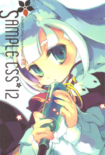 SAMPLE-CSS 12 cover