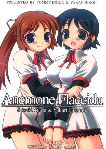 Anemone Flaccida cover