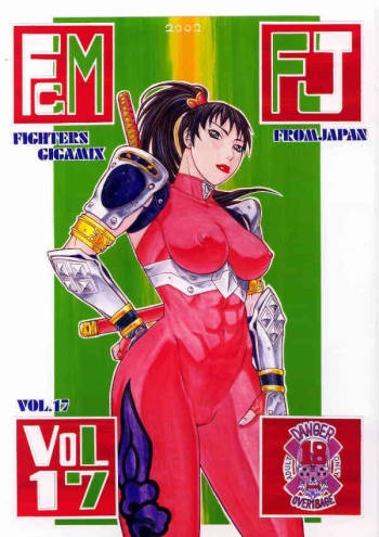 FIGHTERS GIGAMIX FGM Vol.17 cover