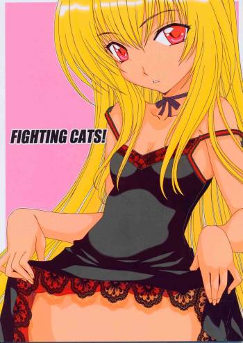 Fighting Cats! cover