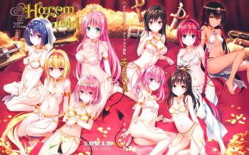 To Love-Ru -Trouble- Darkness Artbook Harem Gold cover