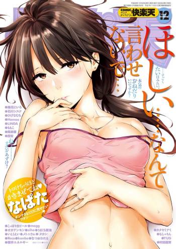 COMIC Kairakuten 2016-12 cover