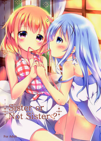Sister or Not Sister?? cover