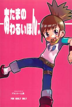 (SUPER11) [Bronco Hitoritabi (Various)] Atama no Warui Hon. (Digimon Tamers)