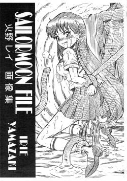 (C82) [Rat Tail (Irie Yamazaki)] SAILORMOON FILE Hino Rei Gazoushuu (Bishoujo Senshi Sailor Moon)