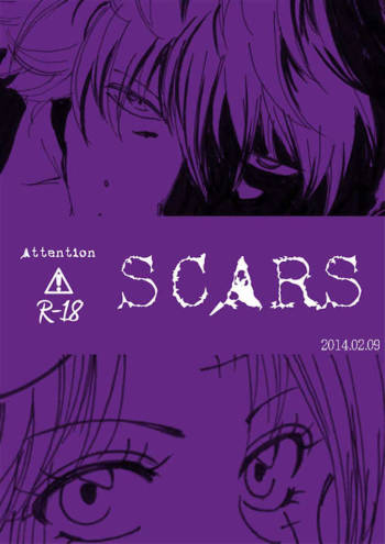 SCARS cover