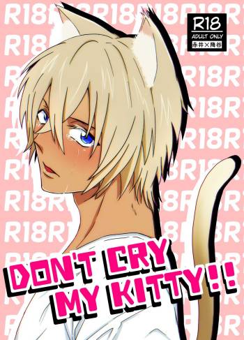 DON'T CRY MY KITTY!! cover