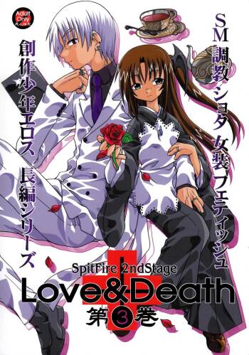 Spit Fire 2nd Stage Love & Death 3 cover