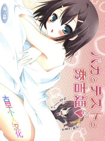 Baka to Test to Hideyoshi Hime cover