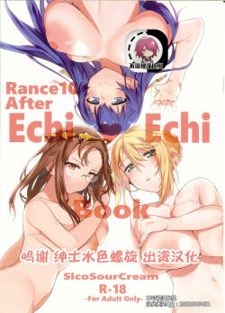 (C97) [SicoSourCream (SicoSour)]  Rance10 After Echi Echi Book  (Rance 10) [Chinese] [不可视汉化]