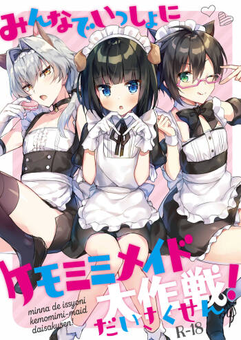 Operation Kemonomimi Maids All Together! cover
