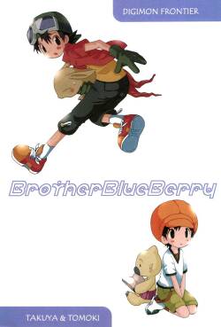 (C62) [Kuruguru DNA (Hoshiai Hilo)]  Brother Blue Berry  (Digimon Frontier)