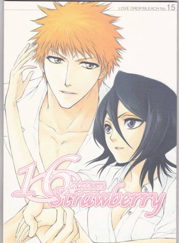 16Strawberry cover