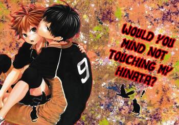 Uchi no Hinata ni Sawaranaide Moraemasu ka | Would You Mind Not Touching my Hinata? cover