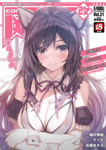 COMIC AUN Kai Vol.21 cover
