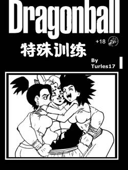 [Turles17] Special Training  (Dragon Ball Super) （Chinese）
