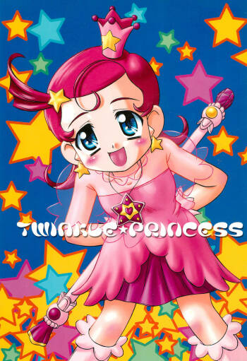 TWINKLE☆PRINCESS cover